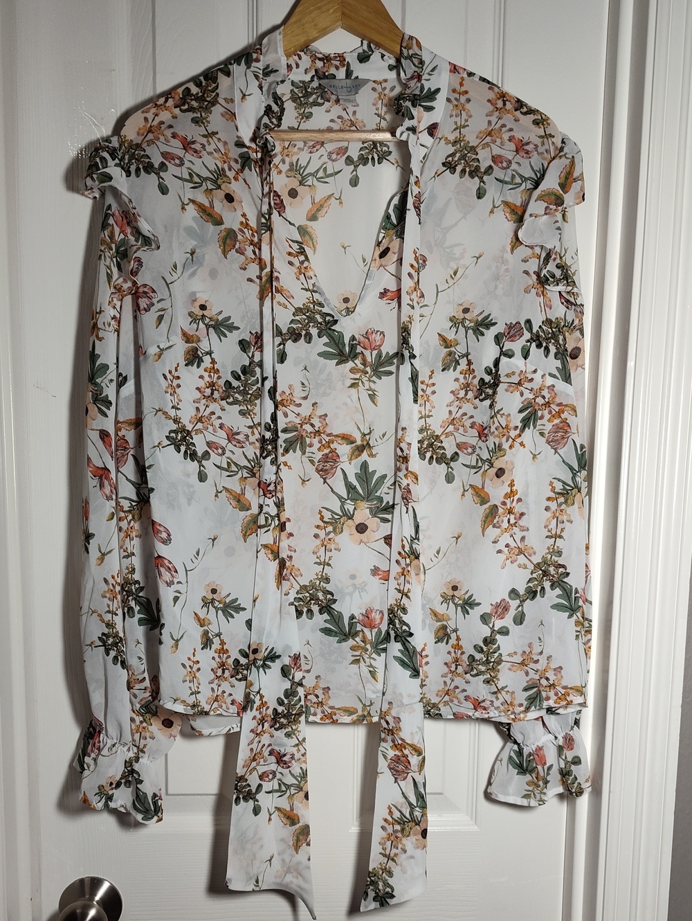 Sheer Floral Ruffle V-Neck Tie Blouse Floral Bishop Ruffled Cuff Sleeve